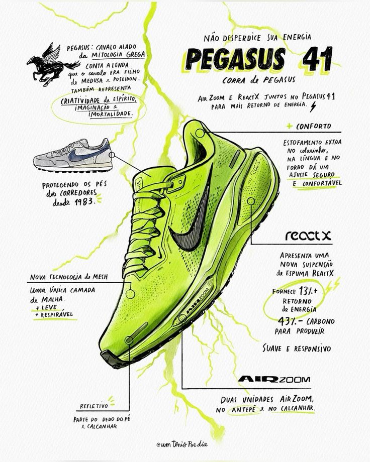 Nike Pegasus 41 Anatomy